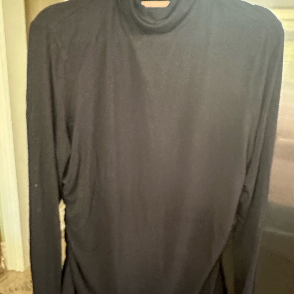 Alfred Sung Shirt